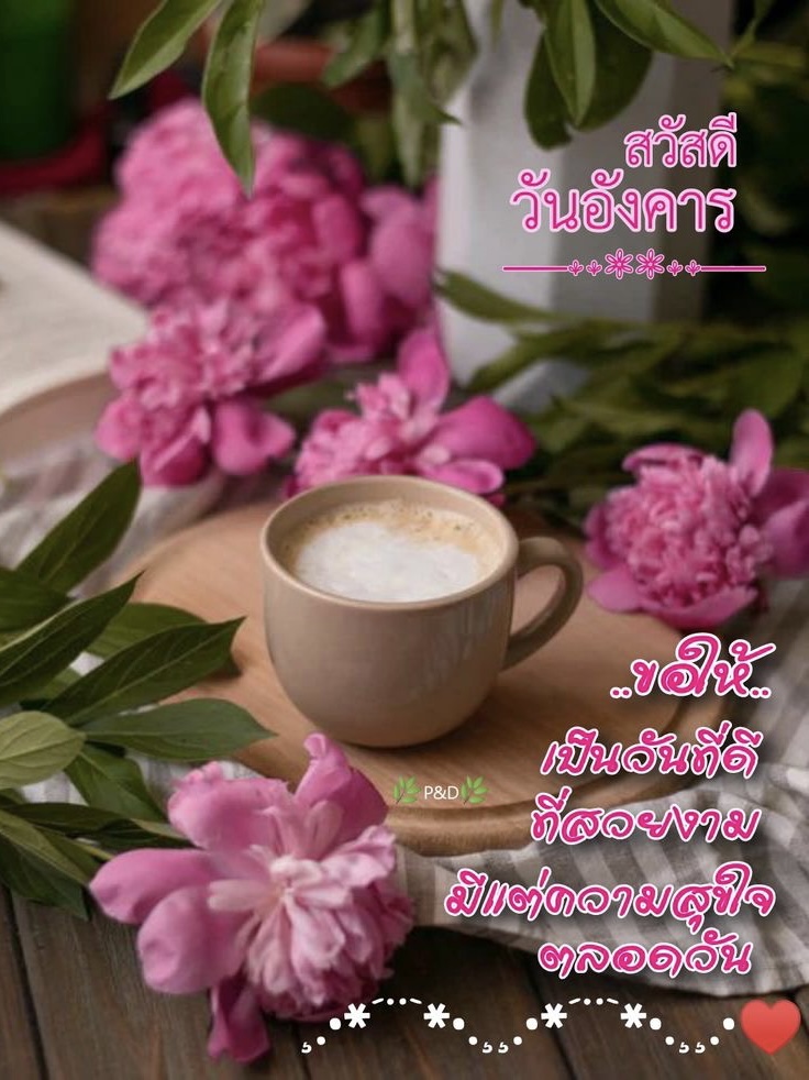 ขอให้เป็นวันที่ดี