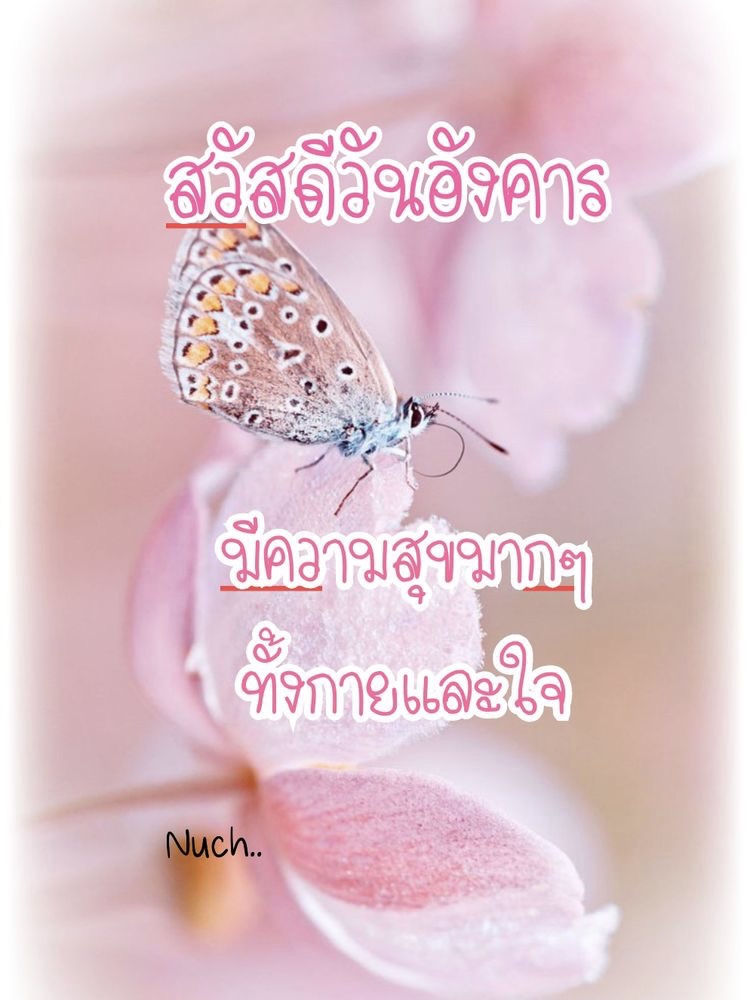 มีความสุขทั้งกายและใจ