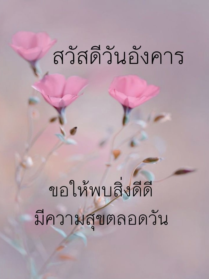 มีความสุขตลอดวัน