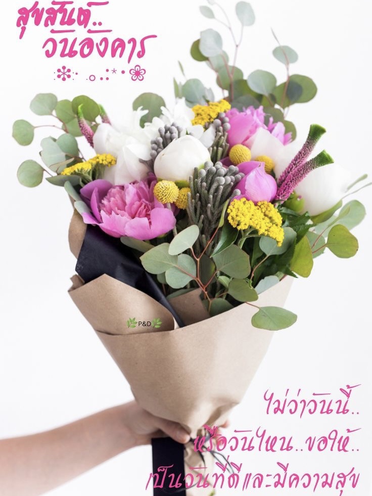 ไม่ว่าวันนี้ หรือวันไหนๆ