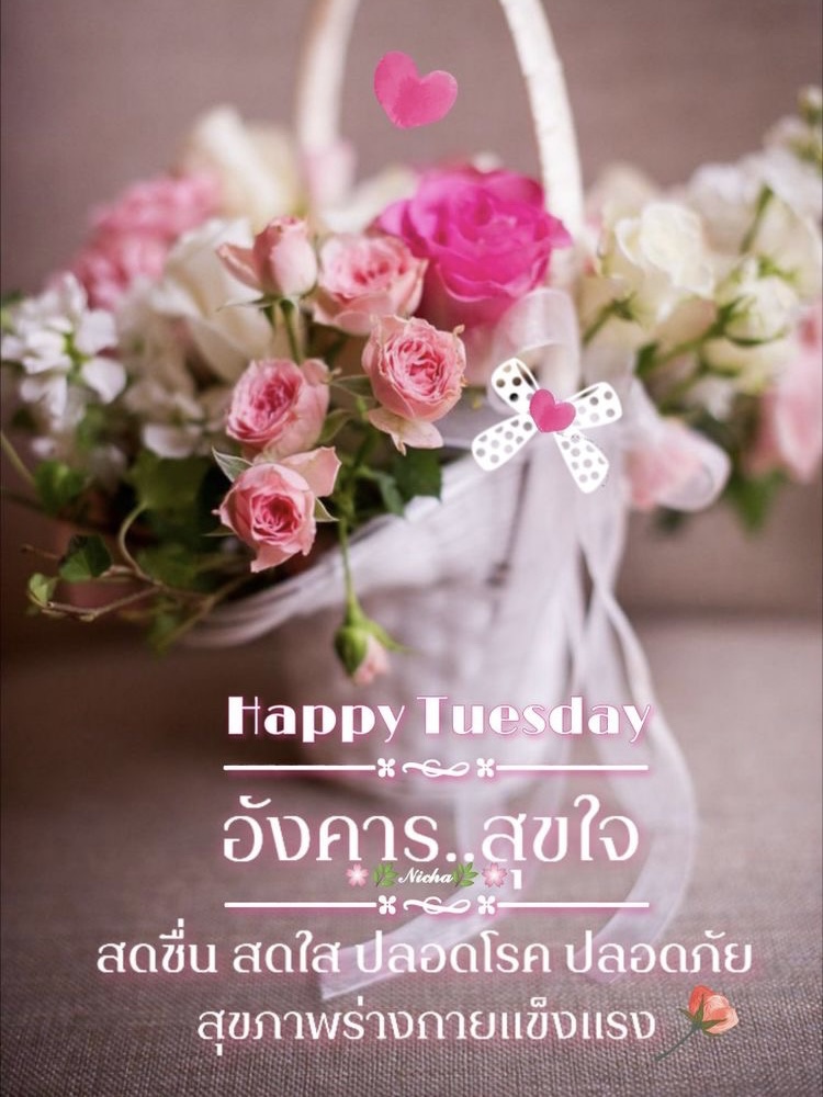 สดชื่น สดใส ปลอดโรค