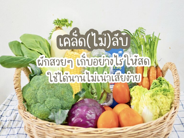 วิธีเก็บผักให้สดและใช้ได้นานๆ