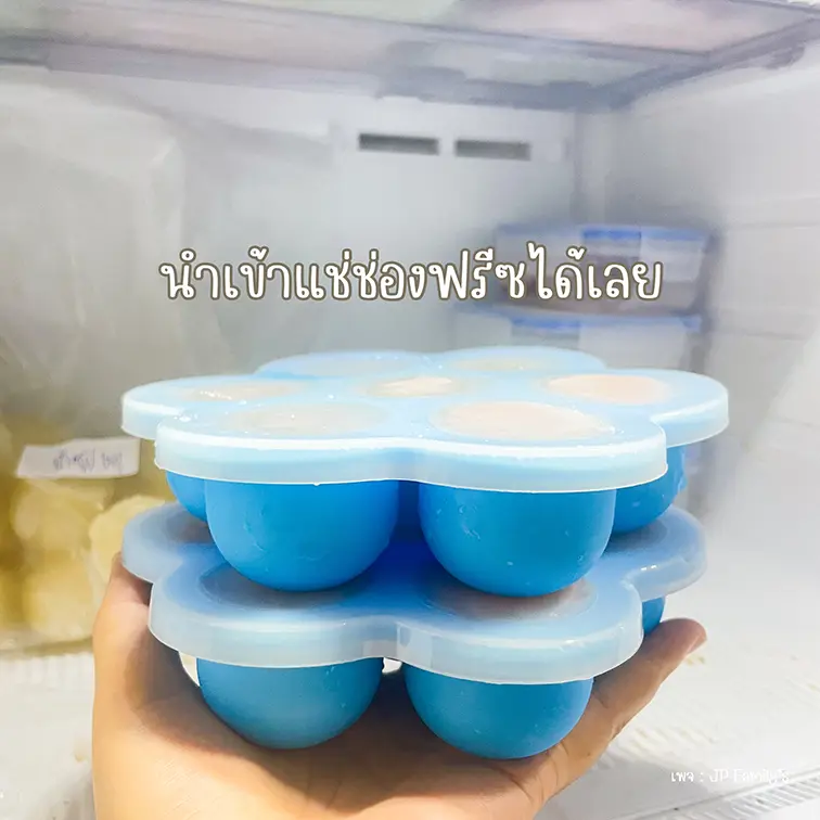 นำเข้าช่องฟรีซ