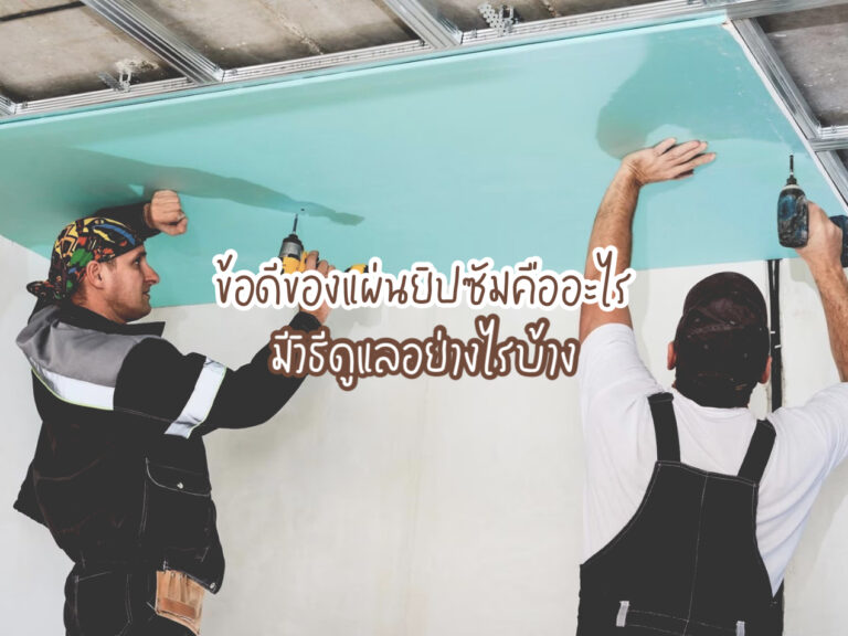 แผ่นยิปซัม