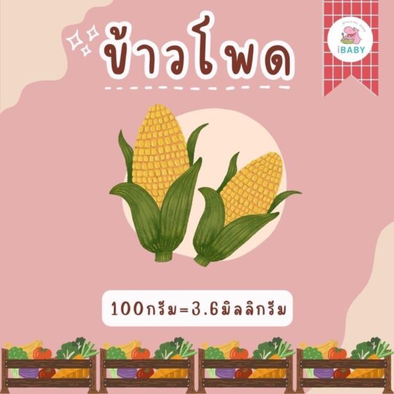 ข้าวโพด