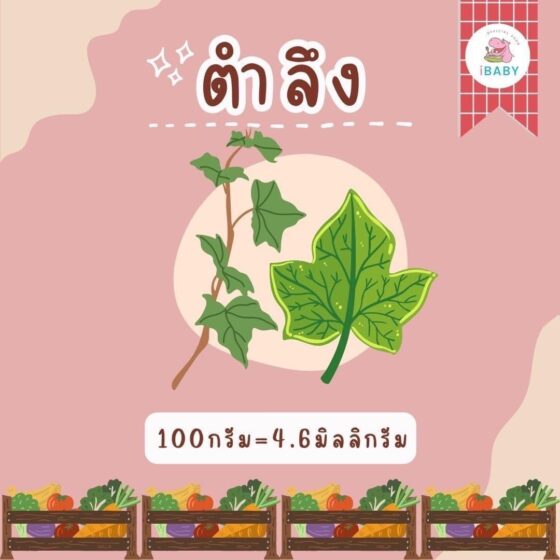 ตำลึง