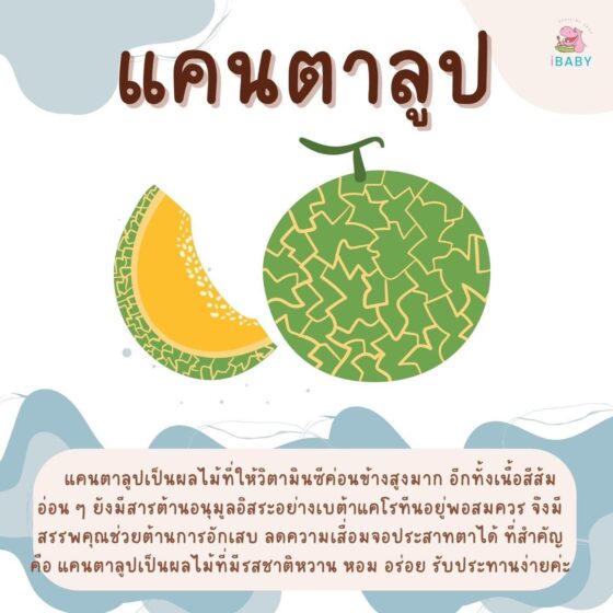 แคนตาลูป