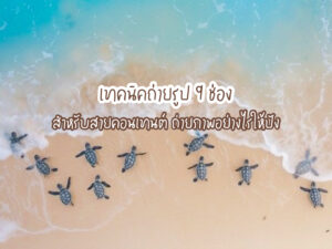 เทคนิคถ่ายรูป 9 ช่อง ! สำหรับสายคอนเทนต์ ถ่ายภาพอย่างไรให้ปัง
