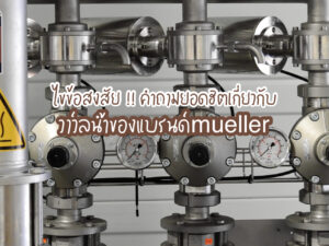 ไขข้อสงสัย ! คำถามยอดฮิตเกี่ยวกับวาล์วน้ำของแบรนด์ mueller