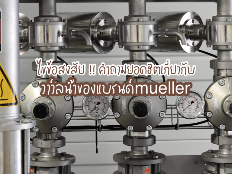 วาล์วน้ำmueller