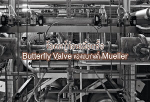 5 ข้อควรรู้ก่อนเลือกซื้อ Butterfly Valve ของแบรนด์ Mueller