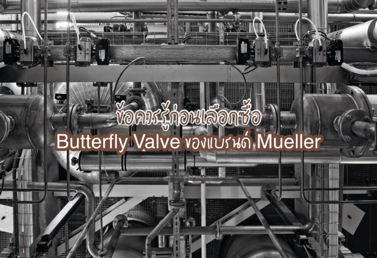 Butterfly Valve