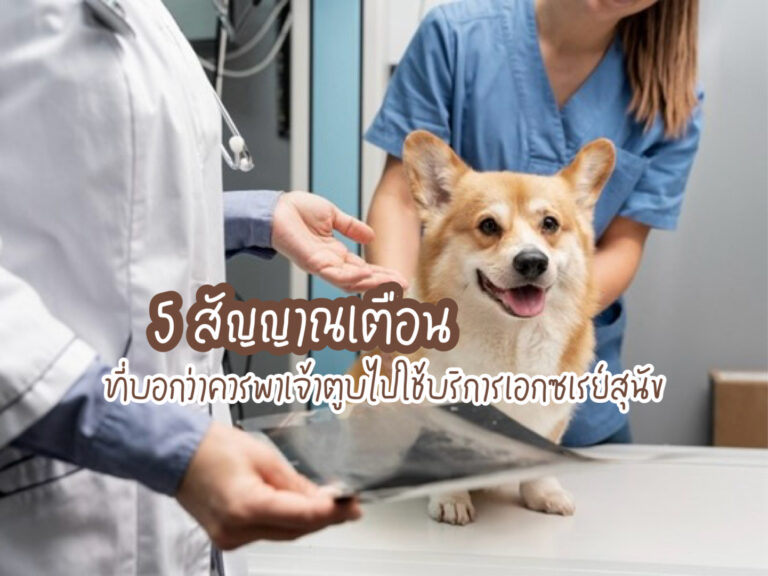 Vet Clinic